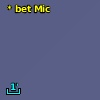 * bet Mic