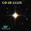 CD-28 11125