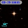 CD-29 11615