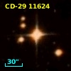 CD-29 11624