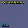 TYC 7313-212-1