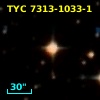 TYC 7313-1033-1