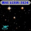 IRAS 15318-3124