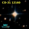 CD-31 12160