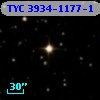 TYC 3934-1177-1