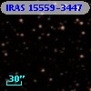 IRAS 15559-3447