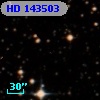 HD 143503