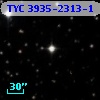 TYC 3935-2313-1