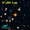 V* NV Lup