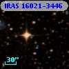IRAS 16021-3446