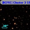 [BCF85] Cluster 3  59