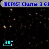[BCF85] Cluster 3  61