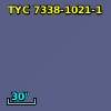 TYC 7338-1021-1