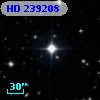 HD 239208