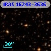 IRAS 16243-3636