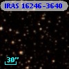 IRAS 16246-3640