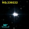 HD 239222