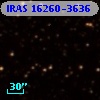 IRAS 16260-3636