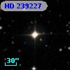 HD 239227