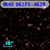 IRAS 16271-3629