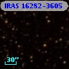 IRAS 16282-3605