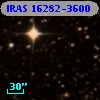 IRAS 16282-3600
