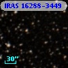 IRAS 16288-3449