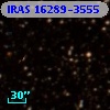IRAS 16289-3555