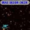 IRAS 16310-3629