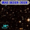 IRAS 16319-3559