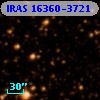 IRAS 16360-3721