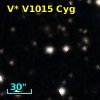V* V1015 Cyg