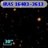 IRAS 16403-3613