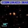 CCDM J16423-3643B