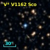 V* V1162 Sco