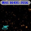IRAS 16435-3556
