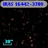 IRAS 16442-3708