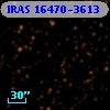 IRAS 16470-3613