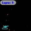 Lupus 9