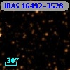 IRAS 16492-3528