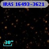 IRAS 16493-3621