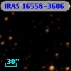 IRAS 16558-3606