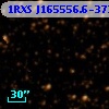 1RXS J165556.6-372646
