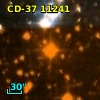 CD-37 11241