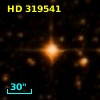 HD 319541