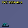 TYC 7373-61-1