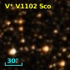 V* V1102 Sco