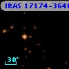 IRAS 17174-3646