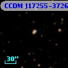 CCDM J17255-3726B