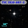 TYC 3939-607-1